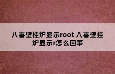 八喜壁挂炉显示root 八喜壁挂炉显示r怎么回事